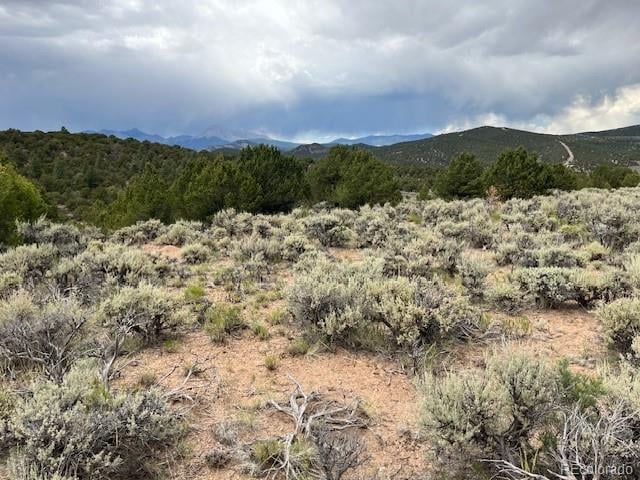 Lot 7840 Richard Rd, Fort Garland, CO 81133