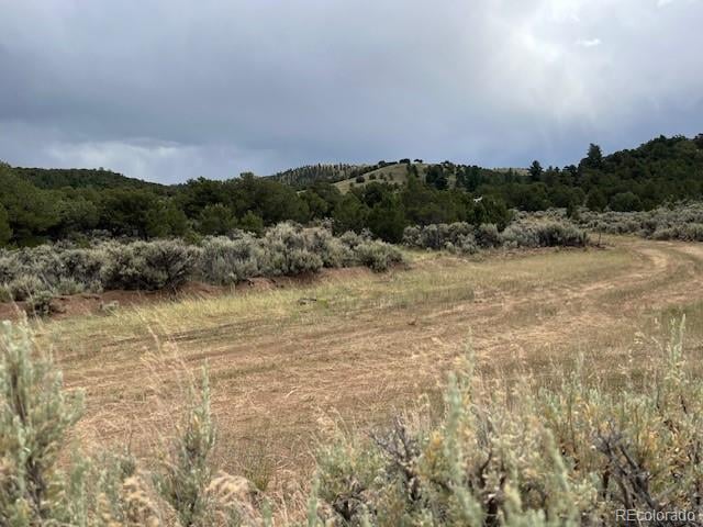 Lot 7840 Richard Rd, Fort Garland, CO 81133