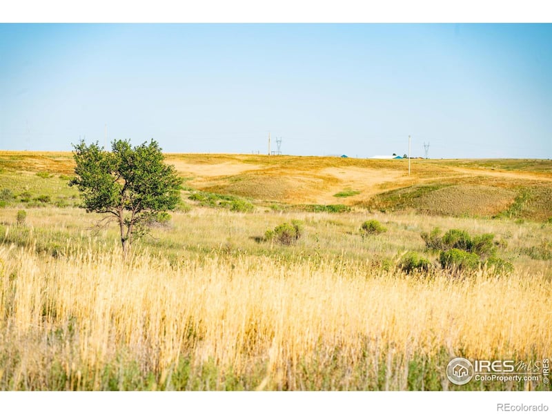 0 Tbd Cr 17, Nunn, CO 80648