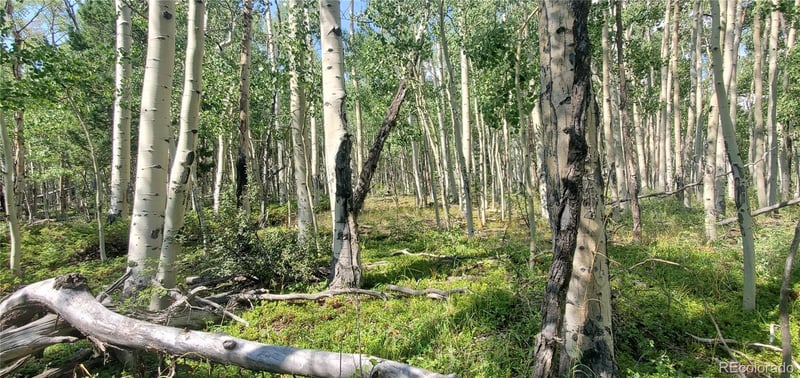 Lot 5837 Sheldon Rd, Fort Garland, CO 81133