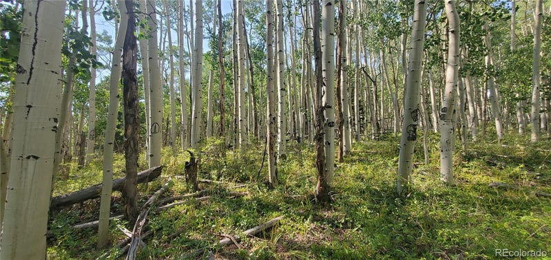 Lot 5837 Sheldon Rd, Fort Garland, CO 81133