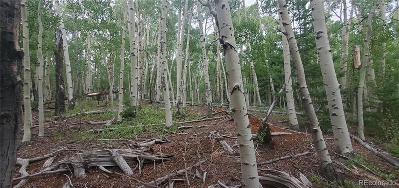 Lot 5837 Sheldon Rd, Fort Garland, CO 81133