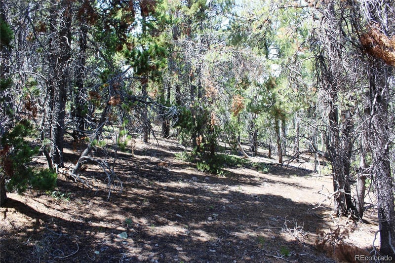 00 Fs 410 1a Lot 334, 338, Black Hawk, CO 80422
