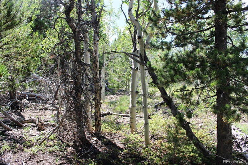 00 Fs 410 1a Lot 334, 338, Black Hawk, CO 80422