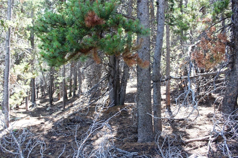 00 Fs 410 1a Lot 334, 338, Black Hawk, CO 80422