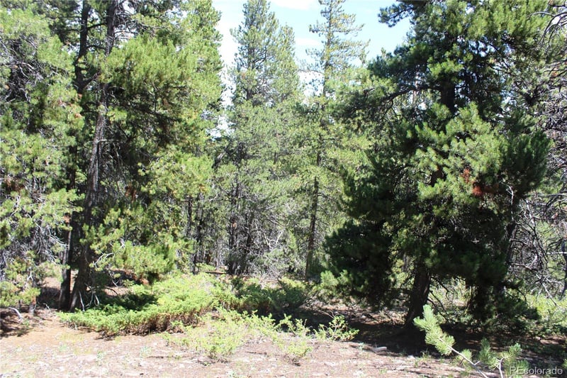 00 Fs 410 1a Lot 334, 338, Black Hawk, CO 80422