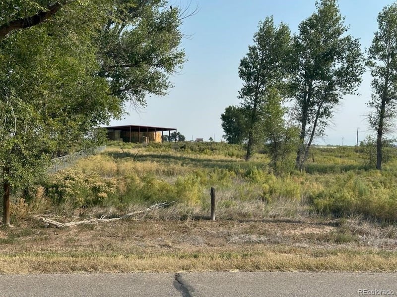 979 County Road 8 South, Alamosa, CO 81101