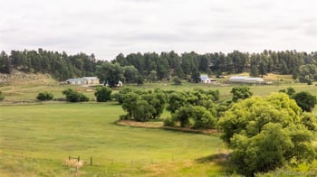 11503 E Smith Rd, Elbert, CO 80106