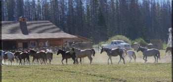 1680 Cr 491 Rd, Grand Lake, CO 80447