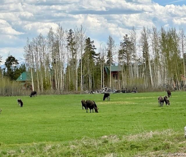 1680 Cr 491 Rd, Grand Lake, CO 80447