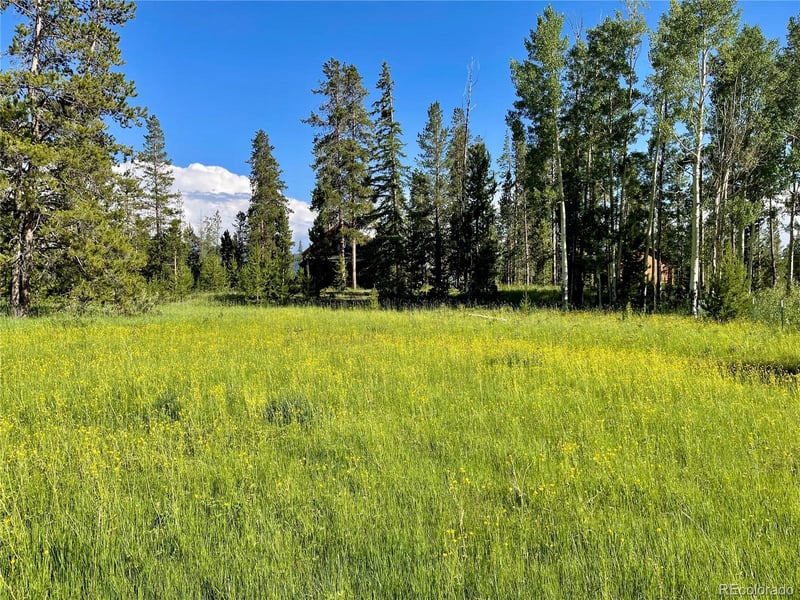 1680 Cr 491 Rd, Grand Lake, CO 80447