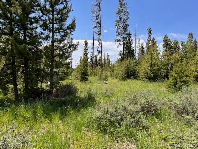 1680 Cr 491 Rd, Grand Lake, CO 80447