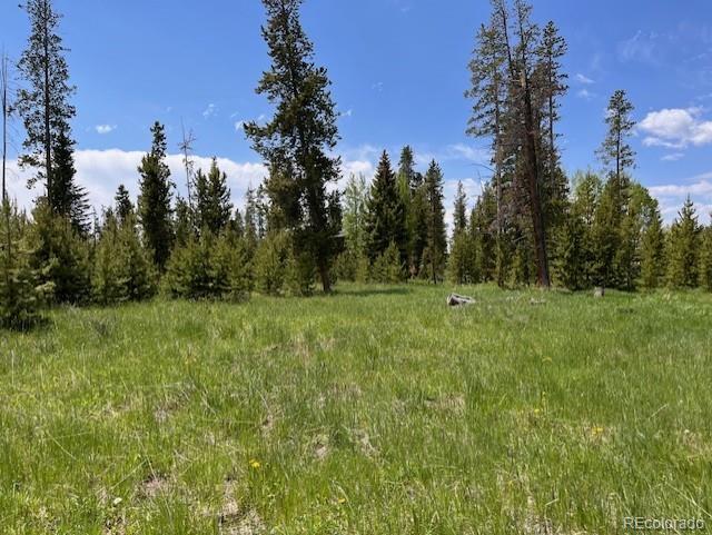 1680 Cr 491 Rd, Grand Lake, CO 80447