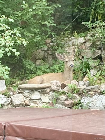 27154 Highway 74 , Evergreen, CO 80439