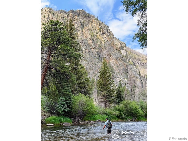 37797 Highway 14 , Bellvue, CO 80512