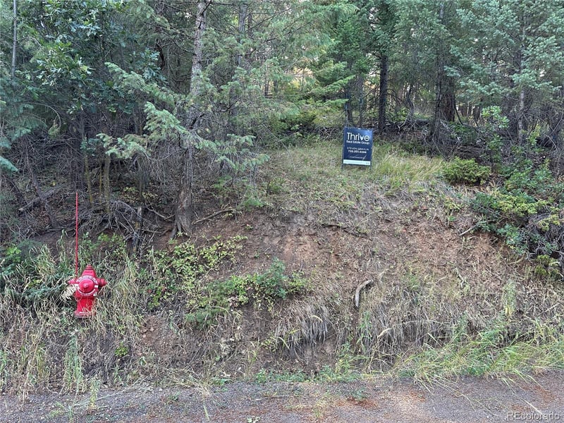 5296 Cherokee Rd, Indian Hills, CO 80454