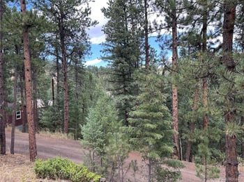 5296 Cherokee Rd, Indian Hills, CO 80454