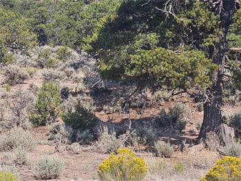 3277 Talmage Rd, Fort Garland, CO 81133