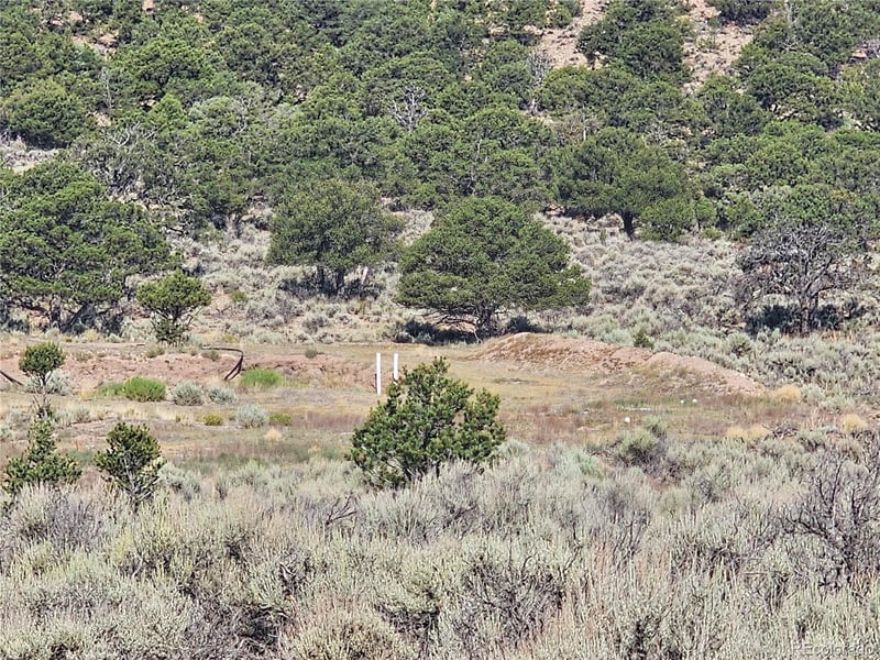 3277 Talmage Rd Lot 3277,3288, Fort Garland, CO 81133