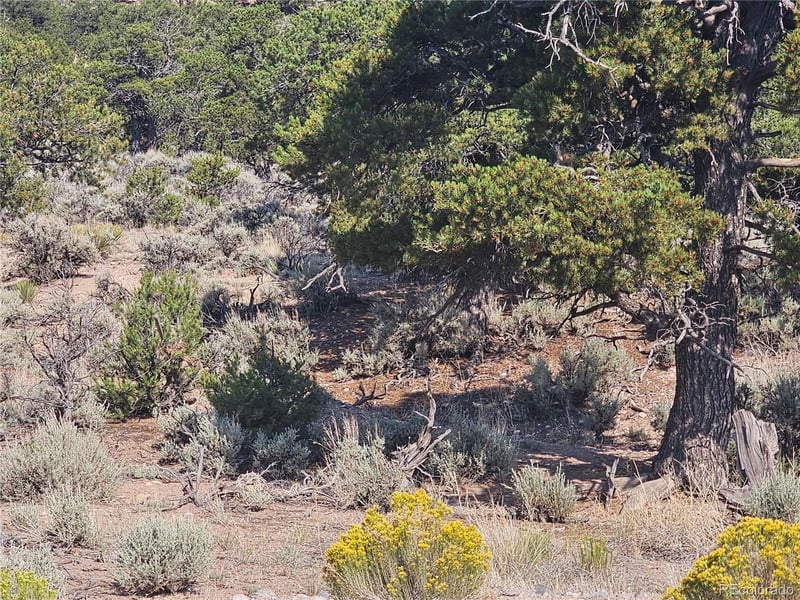 3277 Talmage Rd Lot 3277,3288, Fort Garland, CO 81133