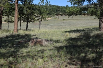 431 High Chateau Rd, Florissant, CO 80816