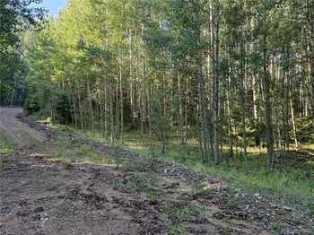 Lot 5331 Hull Rd, Fort Garland, CO 81133
