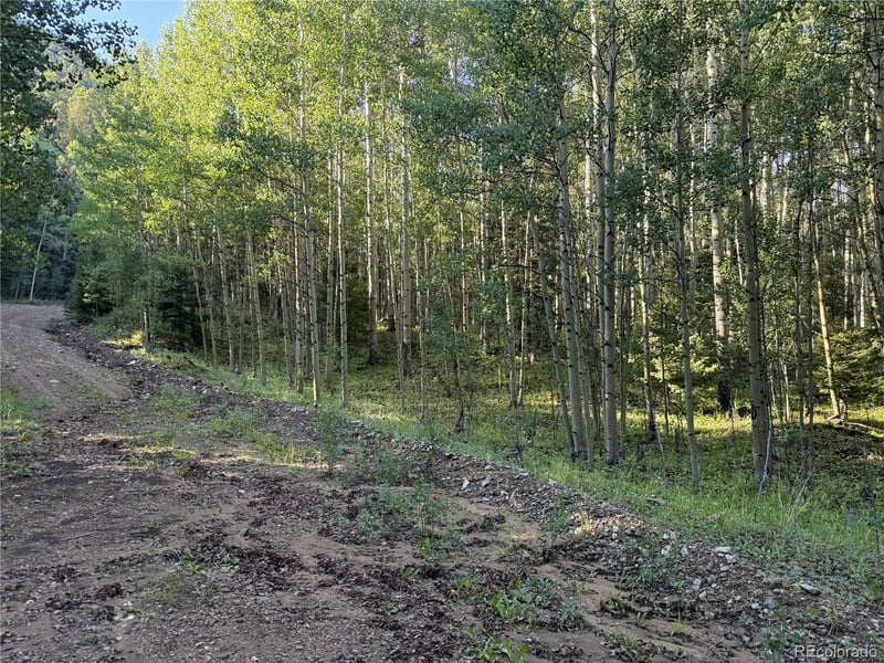 Lot 5331 Hull Rd, Fort Garland, CO 81133