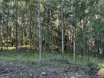 Lot 5331 Hull Rd, Fort Garland, CO 81133
