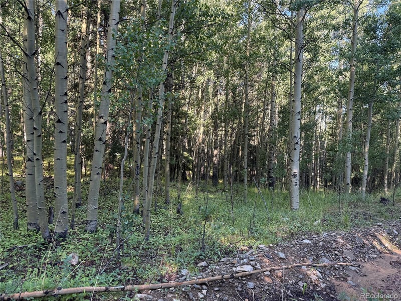 Lot 5331 Hull Rd Lot 5331, Fort Garland, CO 81133