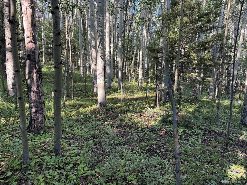 Lot 5331 Hull Rd Lot 5331, Fort Garland, CO 81133