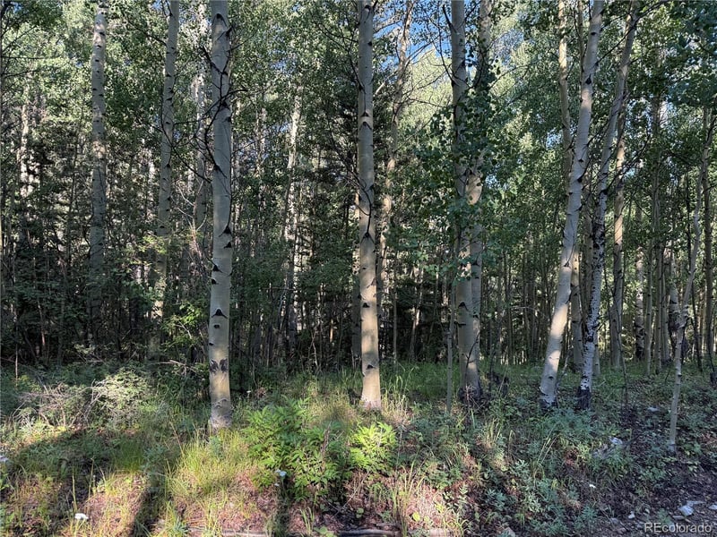 Lot 5331 Hull Rd Lot 5331, Fort Garland, CO 81133
