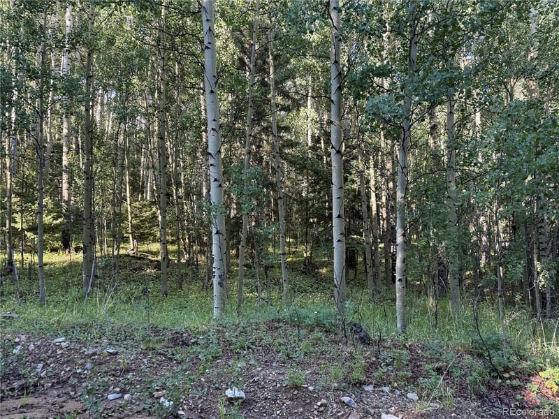 Lot 5331 Hull Rd Lot 5331, Fort Garland, CO 81133