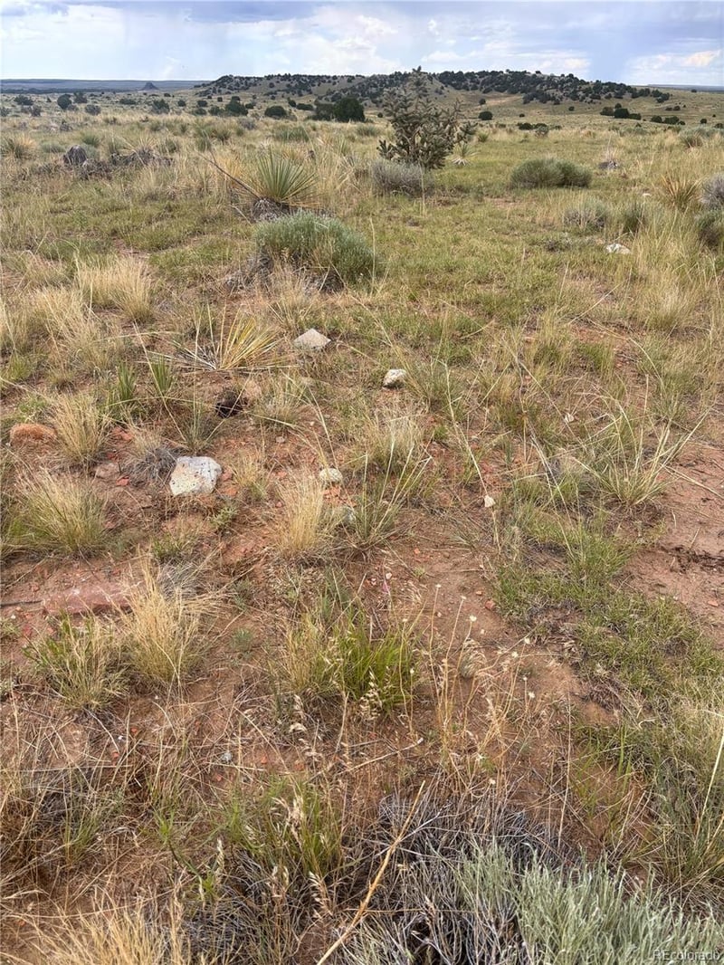 000 Lot 100 Colorado Land And Livestock Ranch Lot 100, Walsenburg, CO 81069