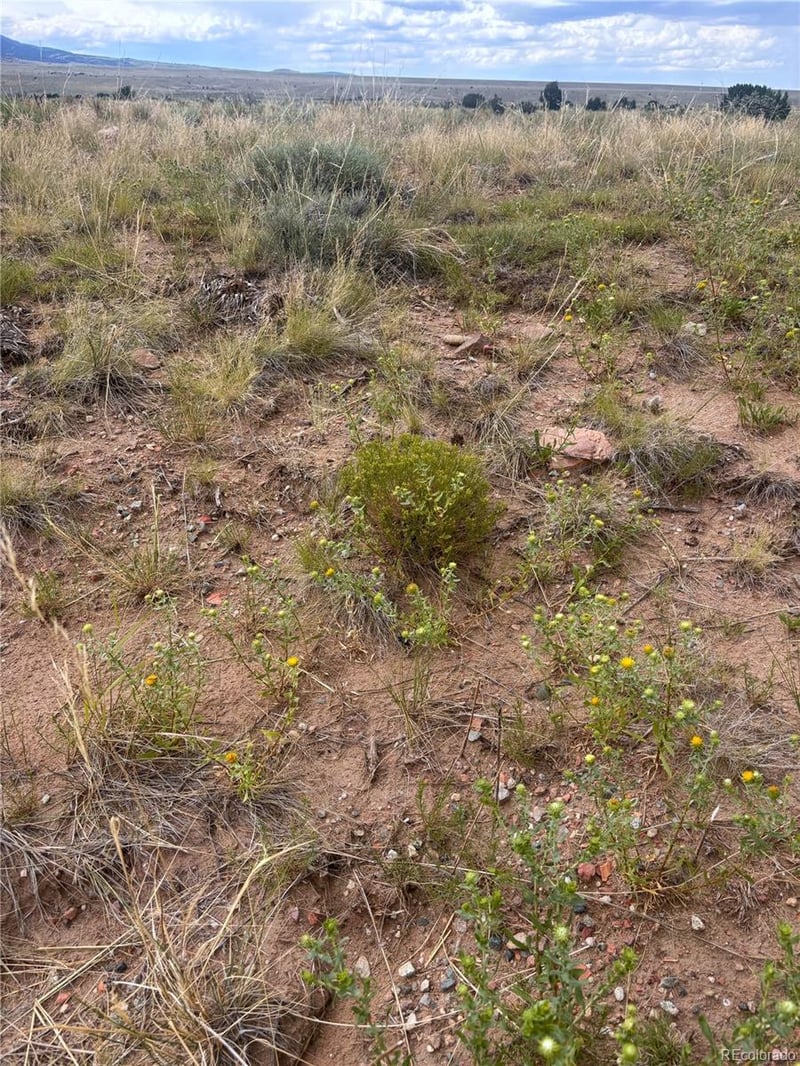 000 Lot 100 Colorado Land And Livestock Ranch Lot 100, Walsenburg, CO 81069
