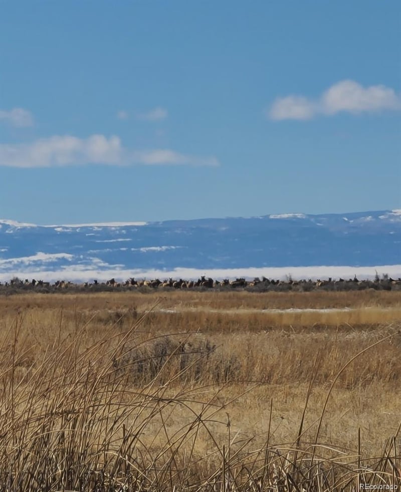 10990 Road 116 , Alamosa, CO 81101