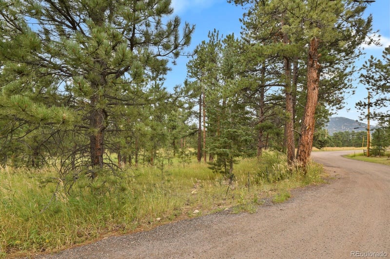 28134 Tresine Dr, Evergreen, CO 80439