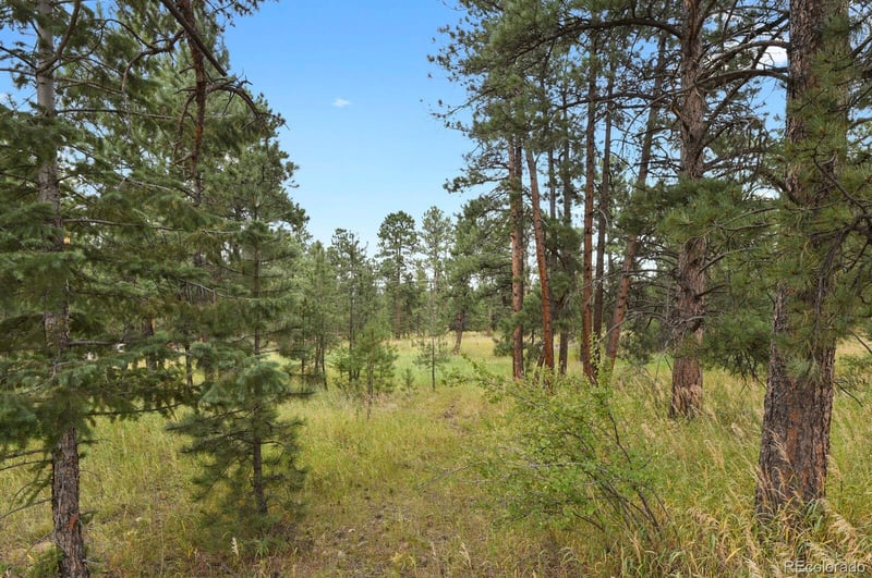 28134 Tresine Dr, Evergreen, CO 80439