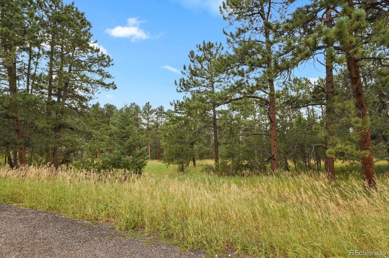 28134 Tresine Dr, Evergreen, CO 80439