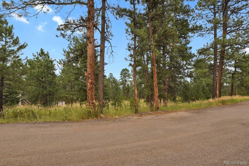 28134 Tresine Dr, Evergreen, CO 80439