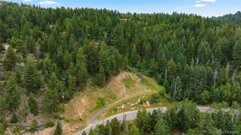 10126 Crest View Dr, Morrison, CO 80465