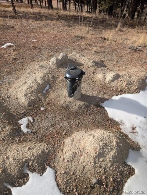 1379 Mountain Estates Rd, Florissant, CO 80816