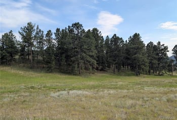1379 Mountain Estates Rd, Florissant, CO 80816