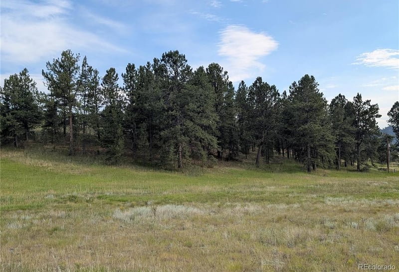 1379 Mountain Estates Rd, Florissant, CO 80816