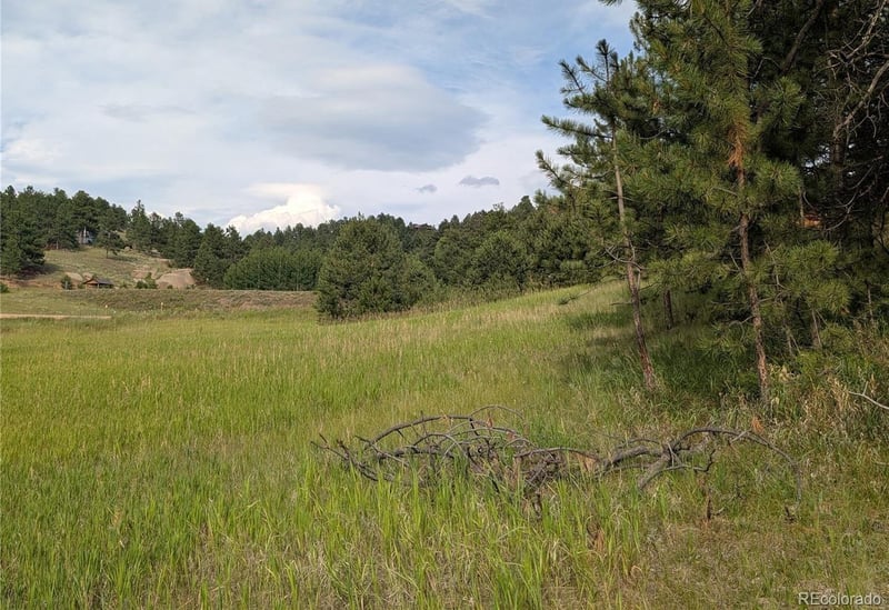 1379 Mountain Estates Rd, Florissant, CO 80816