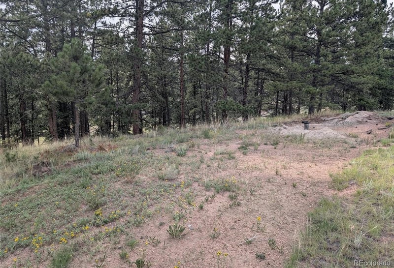 1379 Mountain Estates Rd, Florissant, CO 80816