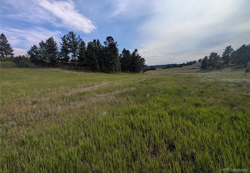 1379 Mountain Estates Rd, Florissant, CO 80816