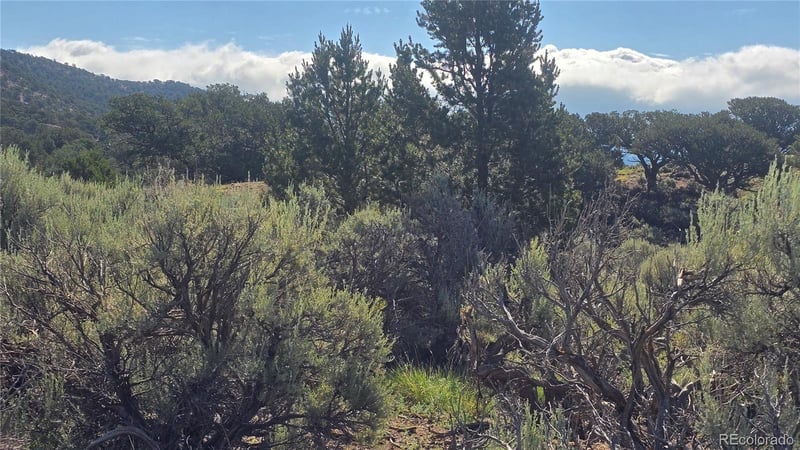 Lot 4296 Renfield Rd, Fort Garland, CO 81133