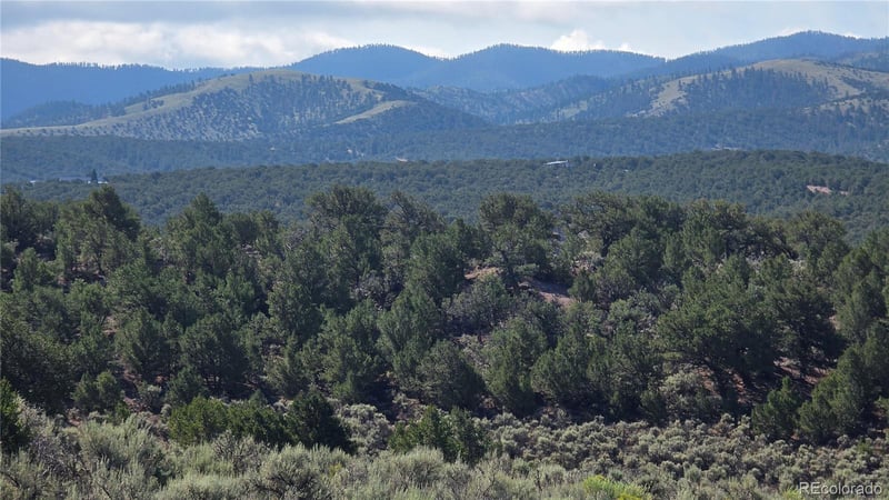 Lot 4296 Renfield Rd, Fort Garland, CO 81133