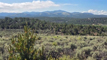 Lot 4296 Renfield Rd, Fort Garland, CO 81133