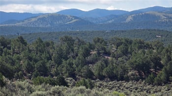 Lot 4296 Renfield Rd, Fort Garland, CO 81133